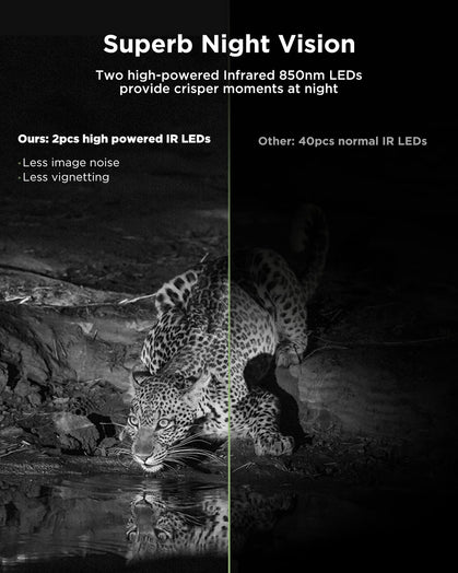 CY95 Full HD 4K 40MP Telecamera da caccia Wlan con scheda SD