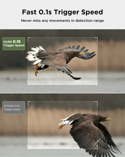 CY95 Full HD 4K 40MP Telecamera da caccia Wlan con scheda SD